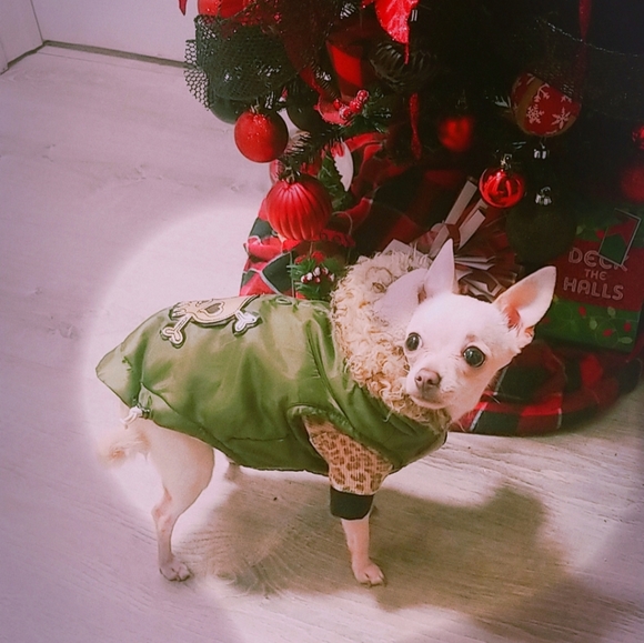 ๐ค๐ฎ๐ธ๐ฆโ ๐ค๐ฎ๐ธ๐ฆโ ๐ค - Picture 9 of 16